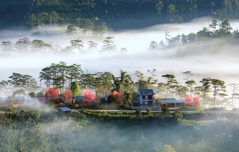 Sương sớm K'long K'lanh. Ảnh: Võ Trang