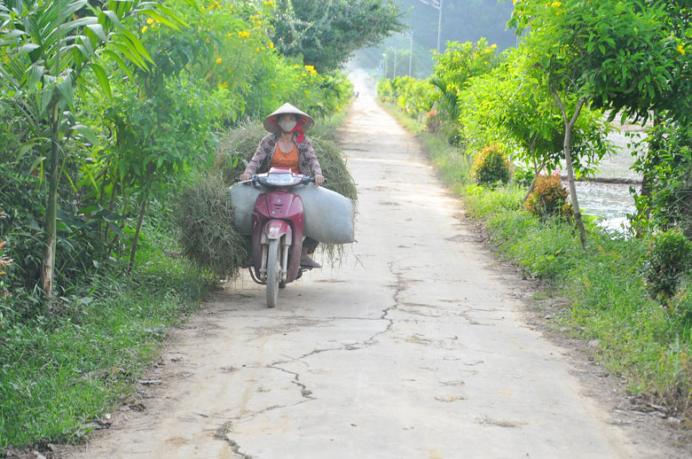 Cho một Gia Viễn xanh, sạch