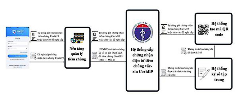 3 bước cấp hộ chiếu vắc xin của Việt Nam