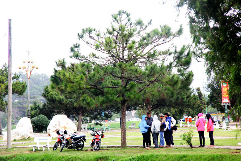 Mùa Đông Đà Lạt.
