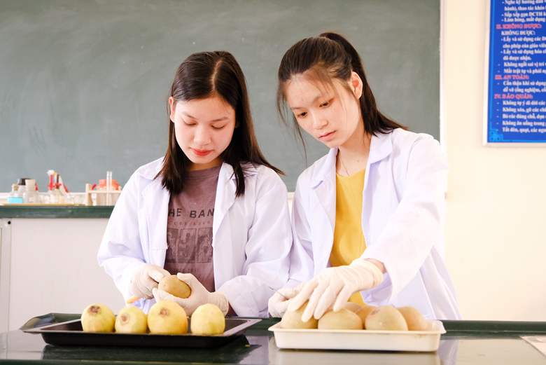 Ứng dụng công nghệ sấy gió trên quả hồng xiêm