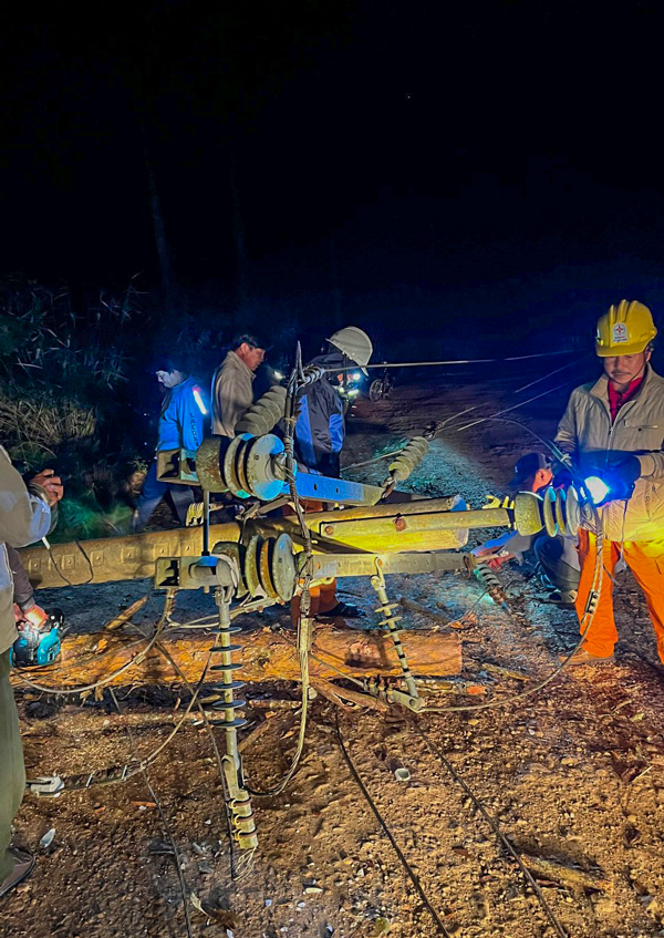 Thông cổ thụ đổ làm gãy cột điện, nhà máy xử lý rác mất điện hơn 10 giờ đồng hồ