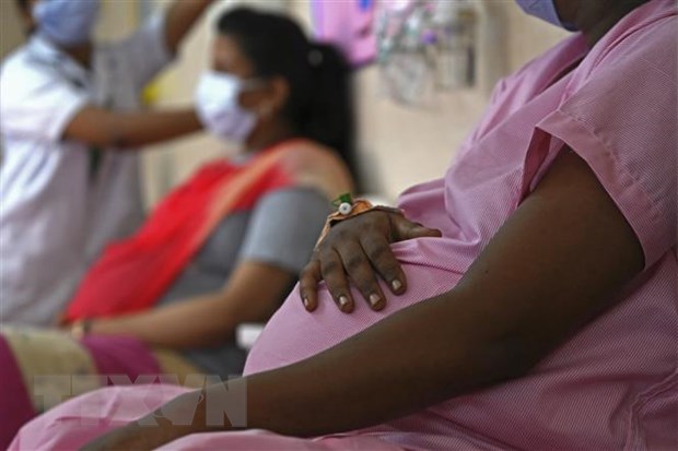 Tiêm vaccine lúc mang thai không liên quan đến biến chứng khi sinh