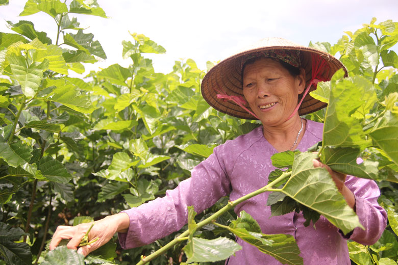 ''Dân vận khéo'' trên vùng kinh tế mới