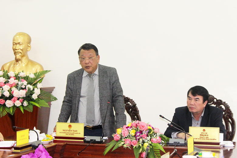 Ông Nguyễn Tạo - Trưởng Đoàn Giám sát kết luận.