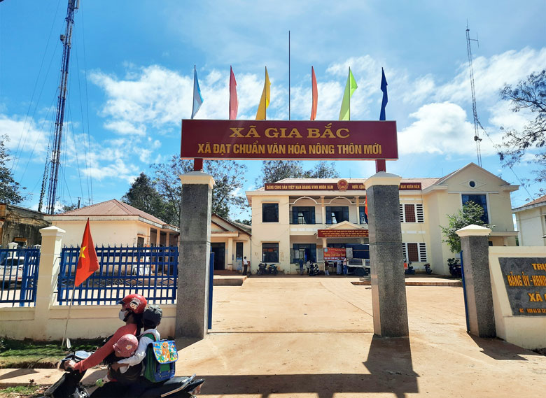 Xuân này, Gia Bắc