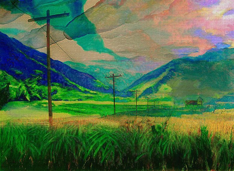 Bông mía trắng
