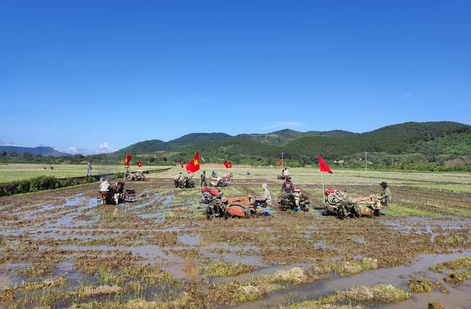 Ra quân xuống đồng cày đất, gieo sạ đồng loạt