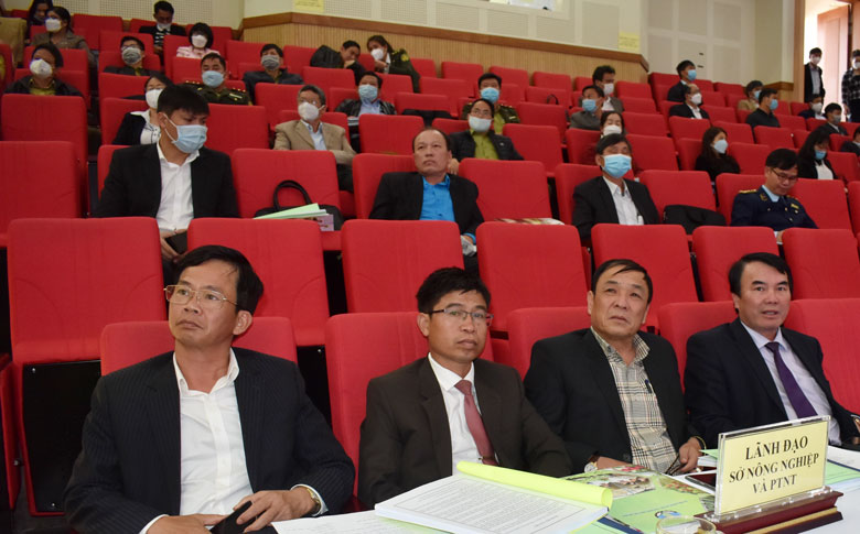 Các đại biểu tham dự hội nghị