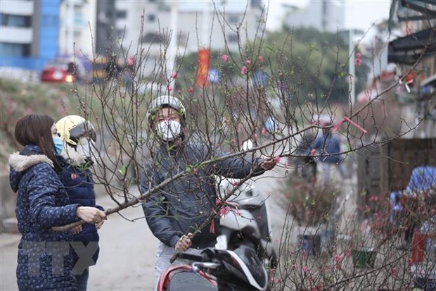 Khả năng rét đậm, rét hại sẽ kéo dài liên tục trong những ngày Tết