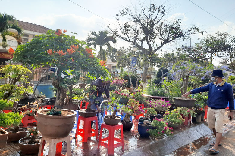 Chợ hoa tết Đức Trọng vắng khách