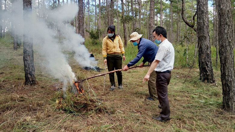 Chủ động phòng cháy, chữa cháy rừng ở Ban Quản lý rừng Lâm Viên