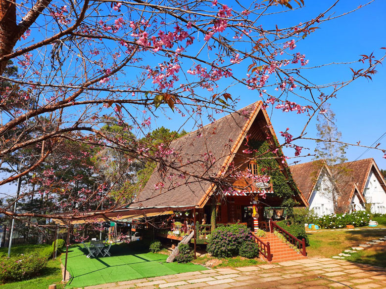 Giữ cho Đà Lạt thêm xanh và đẹp