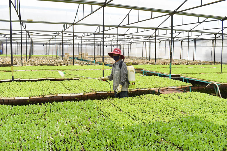 Để nâng cao chất lượng xây dựng nông thôn mới