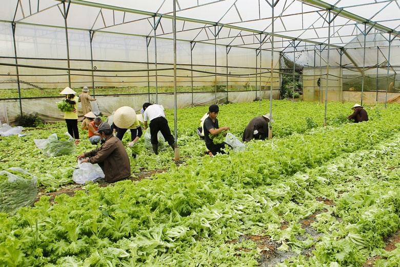 Công tác dân vận, nhìn từ cơ sở