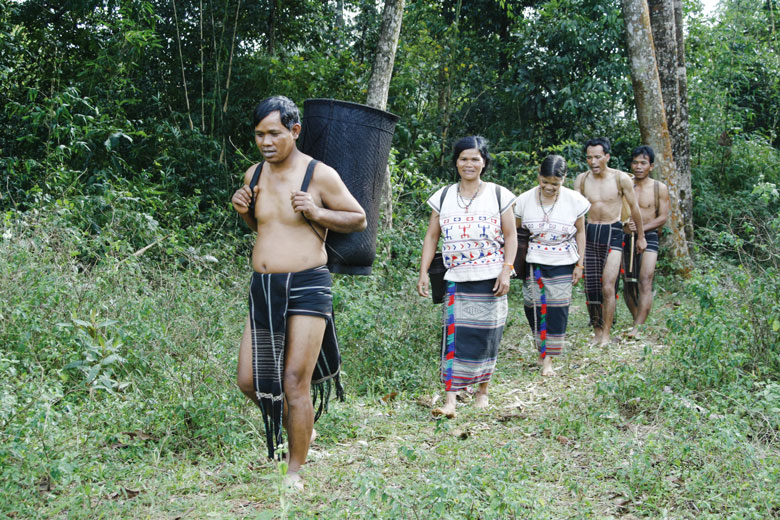 &quot;Nương náu&quot; dưới tán rừng