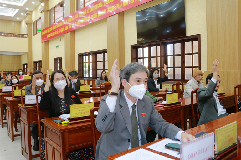Các đại biểu biểu quyết dự thảo nghị quyết