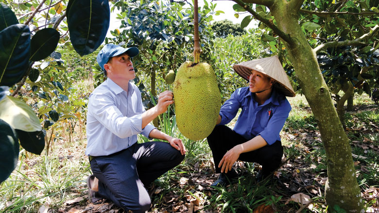 Phát huy tinh thần xung kích của thanh niên thời đại mới