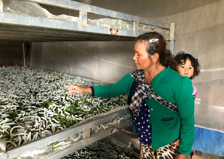 Chuyện làng tằm B'nong Rết