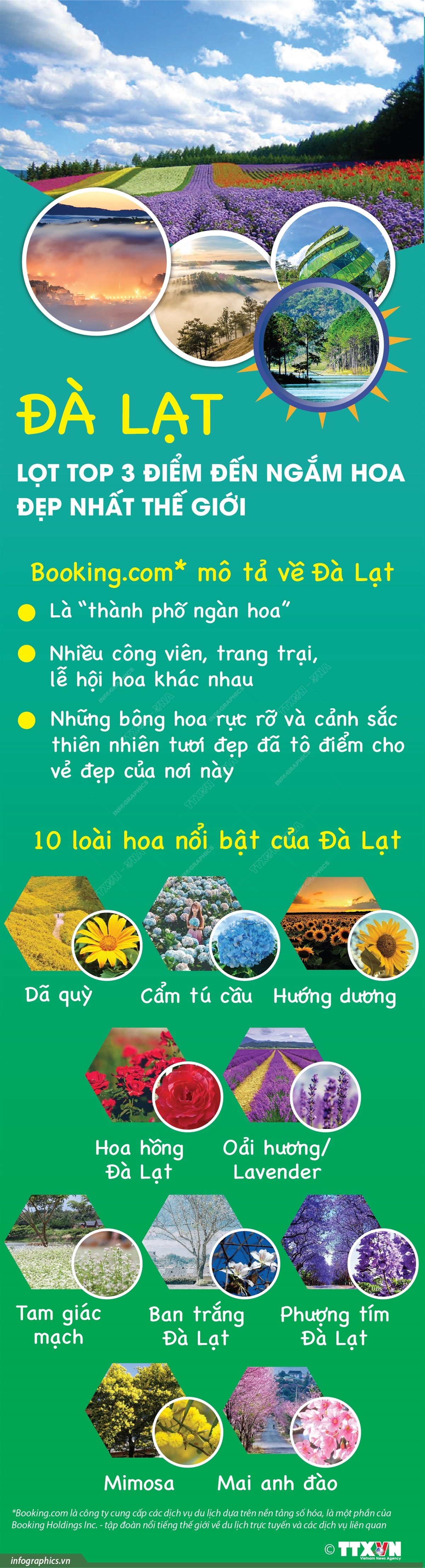 Đà Lạt lọt top 3 điểm đến ngắm hoa đẹp nhất thế giới