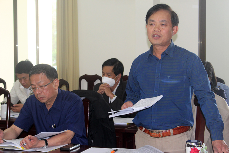 Các đại biểu tham gia phát biểu tại buổi làm việc