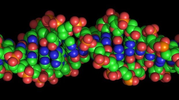 Lần đầu giải mã thành công trình tự hoàn chỉnh của một bộ gene người