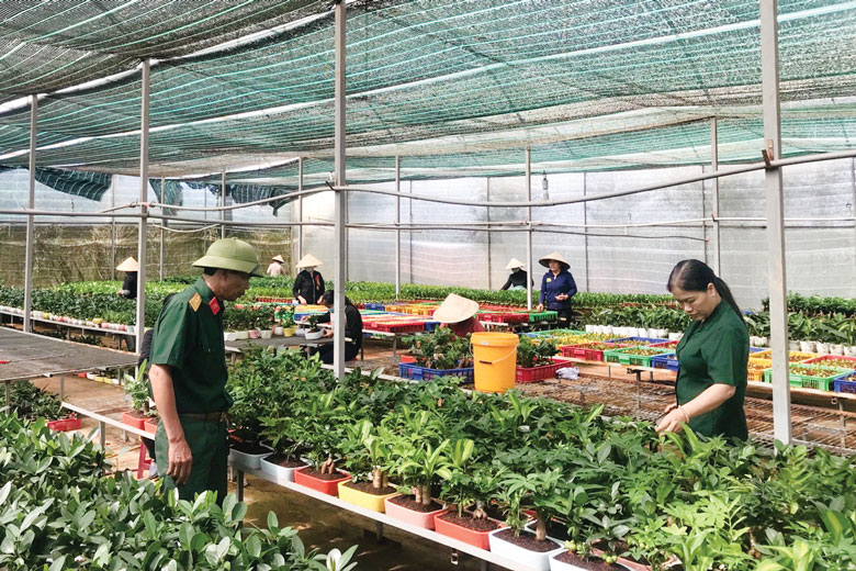 Đoàn kết, tình nghĩa Câu lạc bộ Doanh nhân Cựu chiến binh
