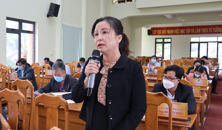 Các đại biểu phát biểu tại kỳ họp