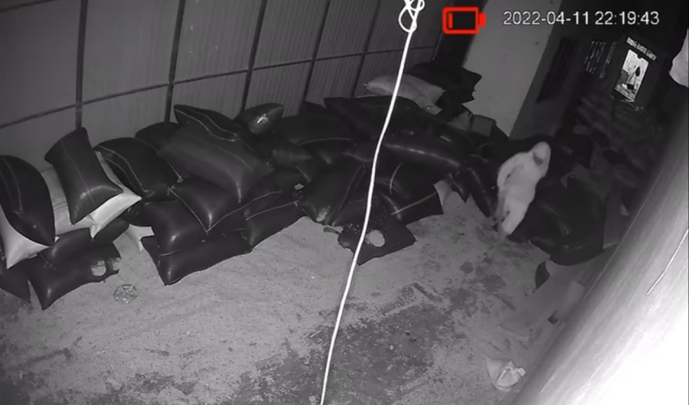 Bảo Lâm: Truy bắt kẻ gian đột nhập nhà dân trộm 770 kg hạt tiêu