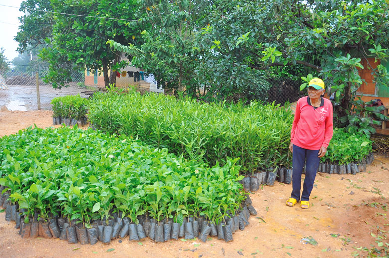 Chung tay vì người nghèo