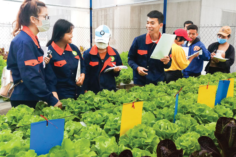 Giáo viên Trường Cao đẳng Nghề hướng dẫn sinh viên trong vườn thực nghiệm