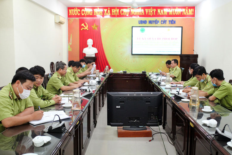 Nỗ lực bảo vệ rừng giáp ranh