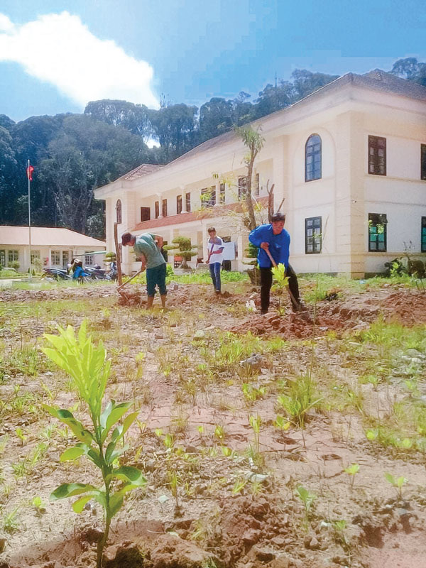 Vườn cây sinh kế của thanh niên