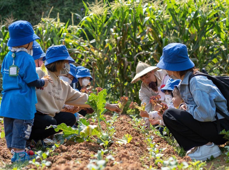 Buổi ngoại khóa của các bé được trải nghiệm, quan sát “Thế giới màu xanh” tại Nông trại Vitamin của anh Đỗ Minh Thịnh