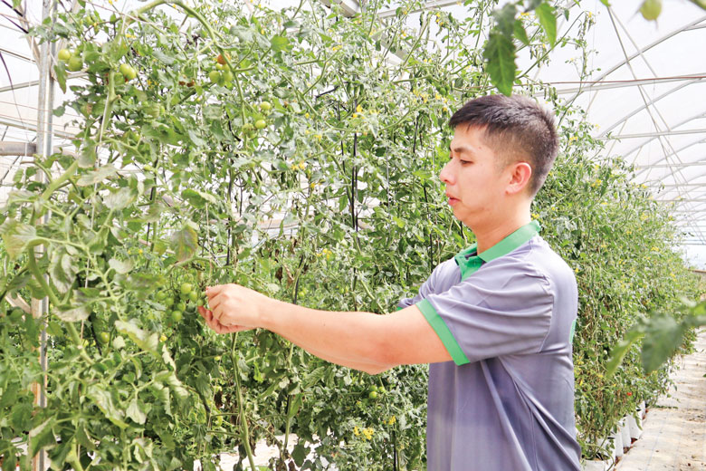 Thành công nhờ ''dám nghĩ, dám làm''