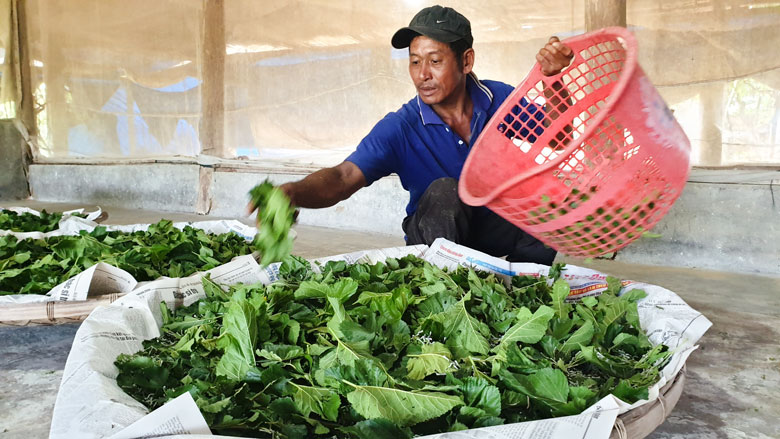 ''Chìa khóa'' để giảm nghèo bền vững