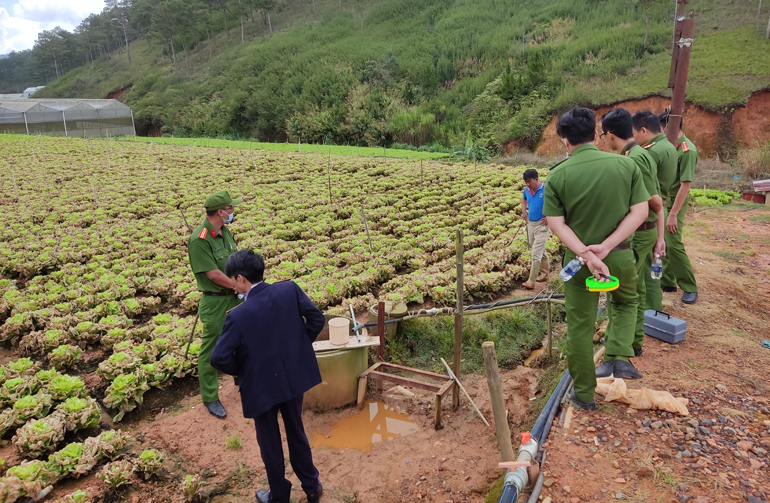 Điều tra vụ đầu độc ruộng rau ở Lạc Dương
