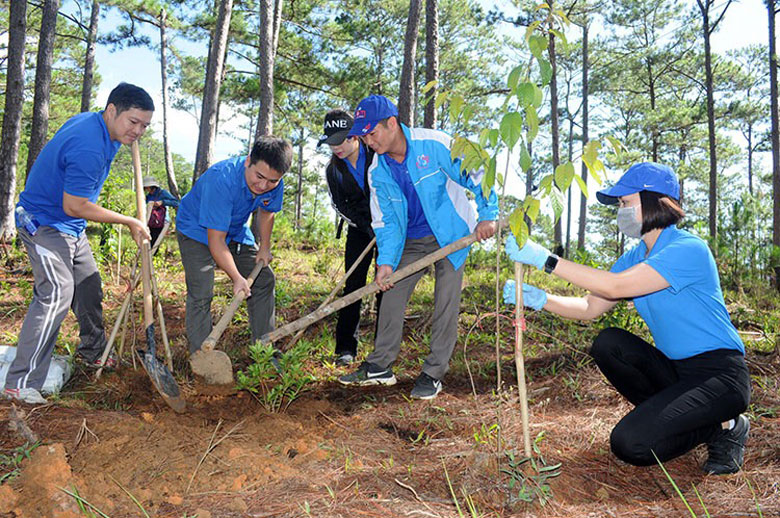 Đà Lạt: ra quân trồng cây ''Đời đời nhớ ơn Bác''
