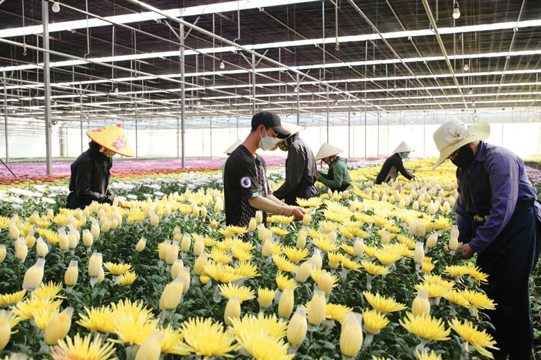 Hướng đến tất cả vì mục tiêu quyền lợi người lao động