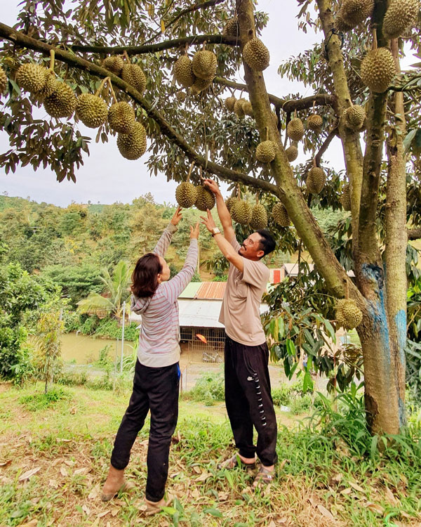 Khoa học công nghệ được ứng dụng ngày càng rộng khắp