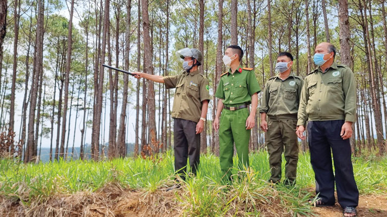 Giữ rừng bằng mô hình ở khu dân cư