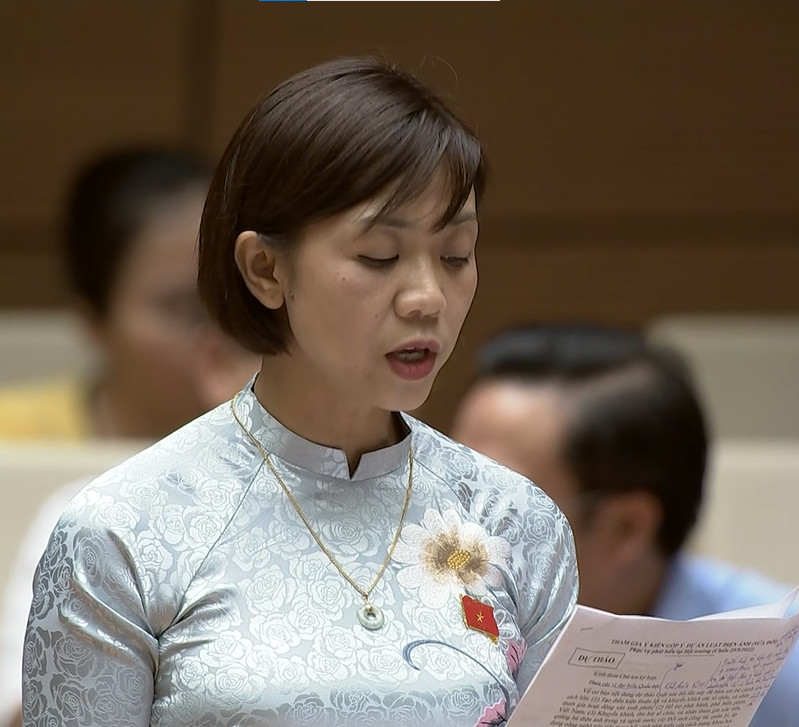 ĐBQH Lâm Đồng Trịnh Thị Tú Anh tham gia góp ý Dự án luật Điện ảnh tại hội trường