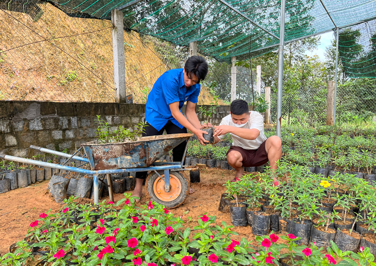 Tuổi trẻ Đạ Tẻh ra quân Ngày Chủ nhật Xanh lần 2