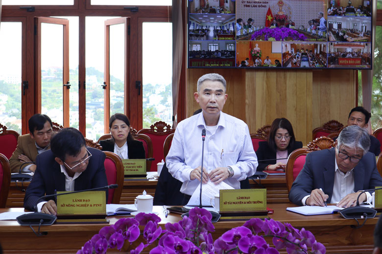 Lãnh đạo Sở Tài nguyên Môi trường phát biểu tại phiên họp