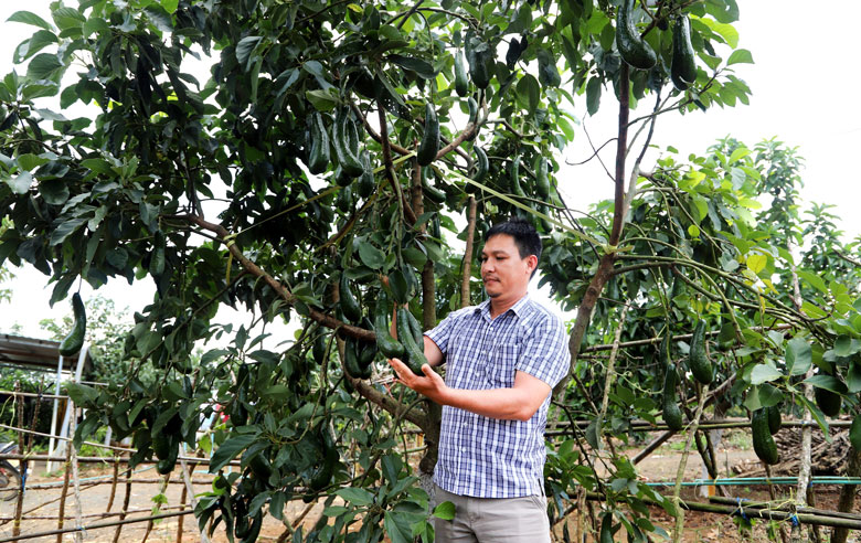 Xây dựng các mô hình tự quản trong vùng đồng bào dân tộc thiểu số ở Bảo Lâm