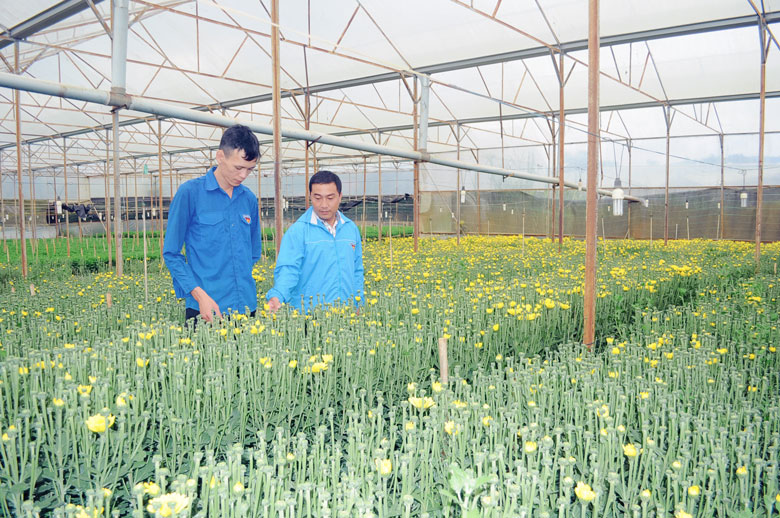 Tuổi trẻ Lâm Hà khởi nghiệp trên quê hương