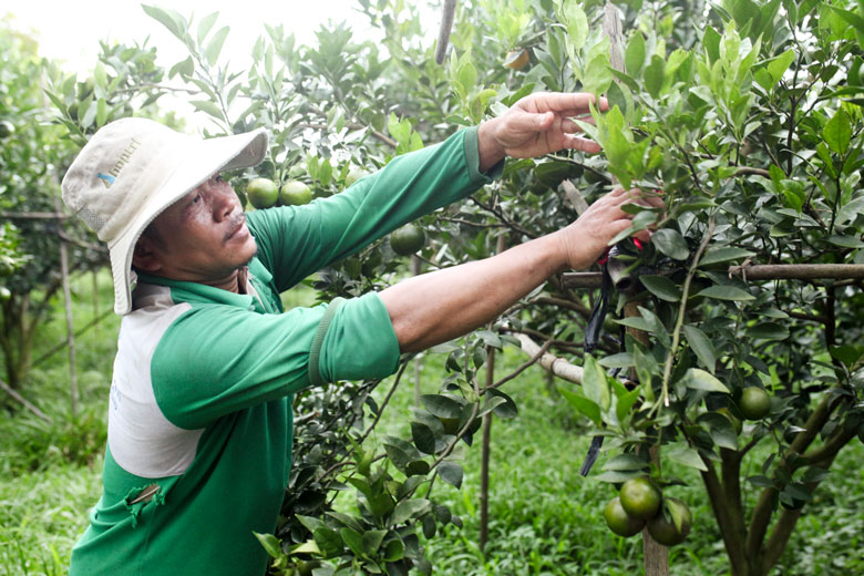Công nhận huyện Cát Tiên đạt chuẩn nông thôn mới