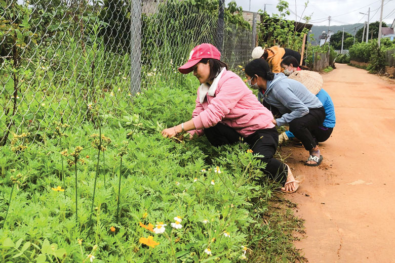 Chuyện xây dựng khu dân cư ở một thôn nhỏ