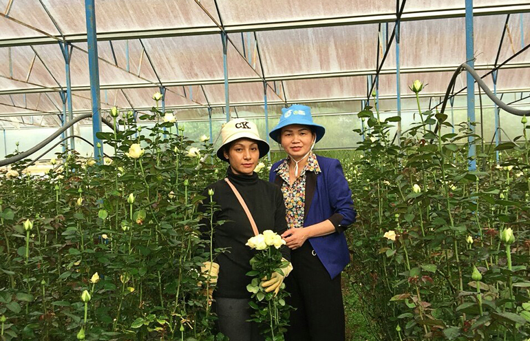 Lạc Dương: Sinh hoạt mô hình "Phụ nữ nói không với tảo hôn và hôn nhân cận huyết thống"