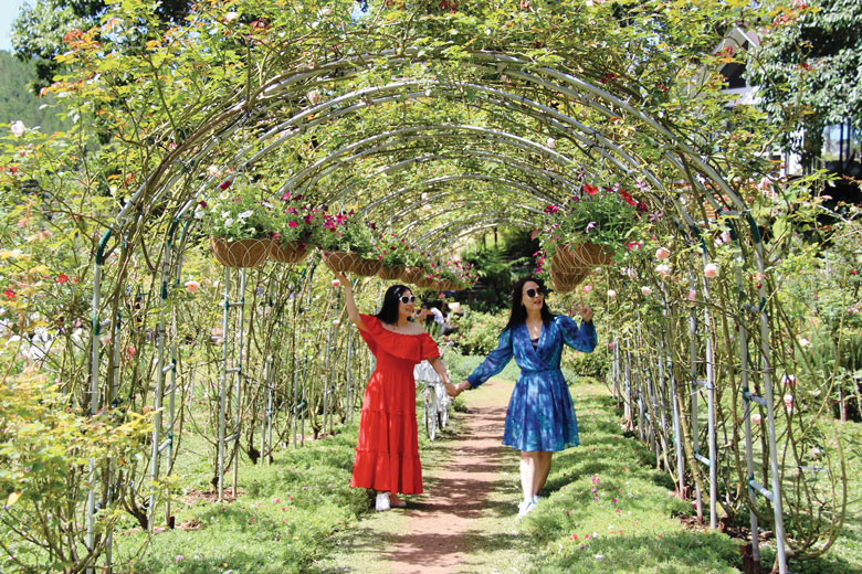 Muôn vàn sắc hoa đua nở tại “Rose Garden”